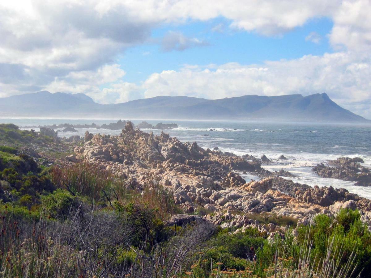 36 Df Strauss Street Appartement Kleinmond Buitenkant foto